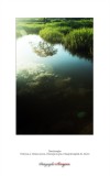 dailyPhoto9