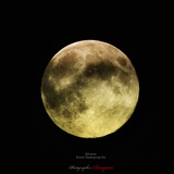 dailyPhoto8