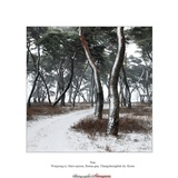 dailyPhoto4