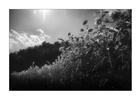 dailyPhoto14