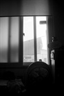 dailyPhoto21