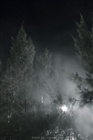 dailyPhoto3