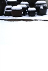 dailyPhoto10