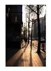 dailyPhoto1