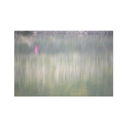 dailyPhoto40