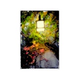 dailyPhoto12