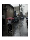 dailyPhoto20