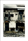 dailyPhoto9