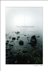 dailyPhoto4