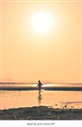 dailyPhoto40