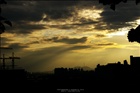 dailyPhoto26