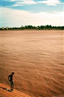 dailyPhoto8