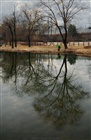 dailyPhoto33