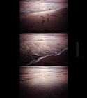 dailyPhoto24