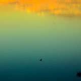dailyPhoto10