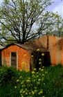 dailyPhoto8