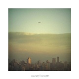 dailyPhoto5