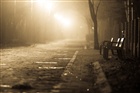 dailyPhoto31