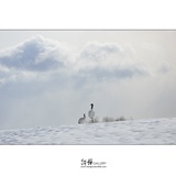 dailyPhoto3