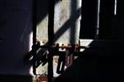 dailyPhoto10